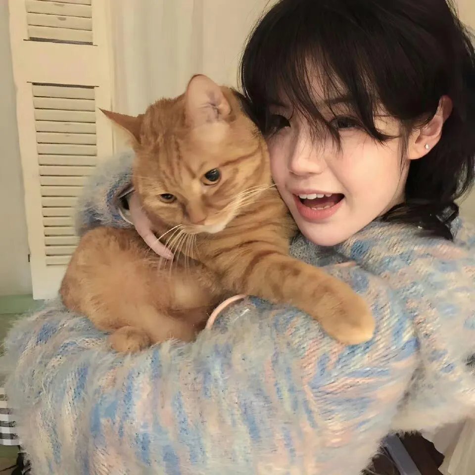献给天堂的比赛
